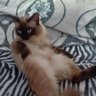 Profilbild von Mick