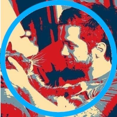 Políticamente Incorrecto 🤖💙🇨🇱 PATRIOTA's profile picture