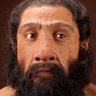 Maine Neanderthal profil fotoğrafı