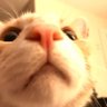 Profilbild von CamLeaks