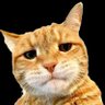 Mr clerk's profile picture