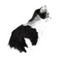濡烏's profile picture
