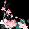 Фото профиля 針子師・京夜