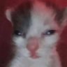 HotdogWaterCart's profile picture