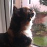 Kat's profile picture