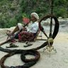 Фото профиля Yemen Country Life, Ph.D.