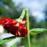 Фото профиля Seza