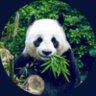 Profilbild von s