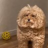 Jimbob 的头像