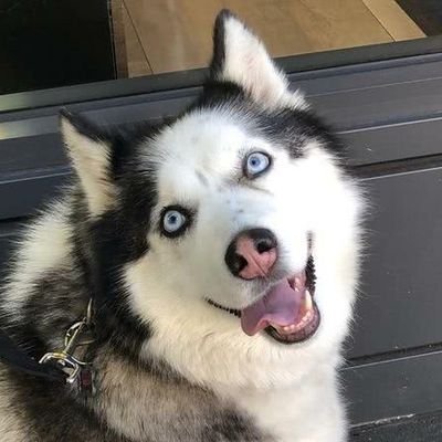 DiegoBenben's profile picture