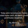 Mehmet ali kaman's profile picture