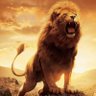 Фото профиля Joey🇸🇪🦁