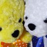 知 profil fotoğrafı