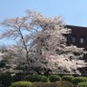 える 的头像