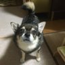 Smile29 的头像
