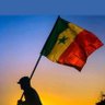 DRA Dj⭐🇸🇳 profil fotoğrafı