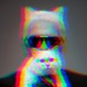 The Satorialist's profile picture
