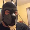 PupKuffs's profile picture