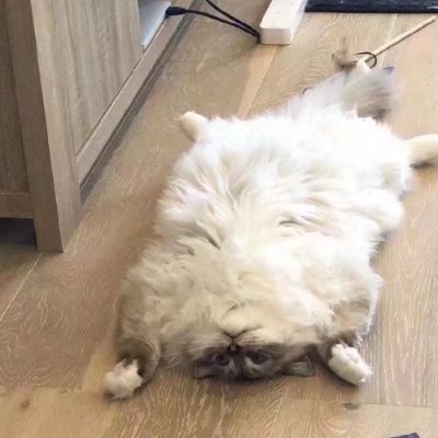 加冰's profile picture