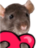 HyperRatTV's profile picture