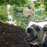 Ollie's profile picture