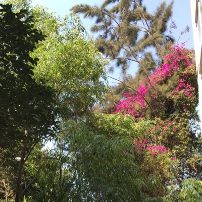 R Ruiz de la Concha's profile picture