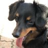 iうえお 的头像