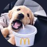 迭戈's profile picture