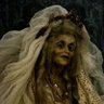 Cardiff Spinster's profile picture
