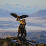 Miguel Biegai's profile picture
