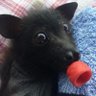 Ernie's profile picture