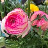 Фото профиля くー0330