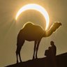 Фото профиля Marwan 🇮🇶