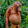 Sher. profil fotoğrafı