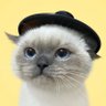 Profilbild von Fany is love