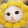 (´-`).。o(蒲公英)'s profile picture