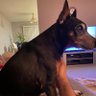 Jet Rogera profil fotoğrafı