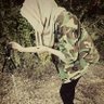 Profilbild von میمونہ شاہد