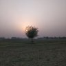 🇮🇳 Mohsin । Free 🇵🇸 profil fotoğrafı