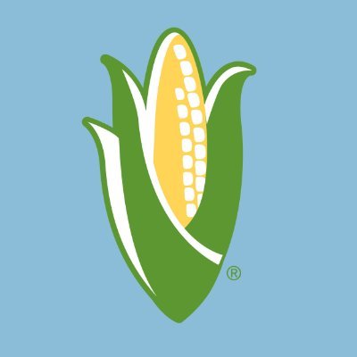 NationalCorn's profile picture