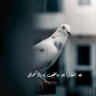 بابلي profil fotoğrafı