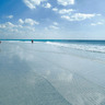 Beach Bum profil fotoğrafı