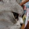 emm3861030's profile picture