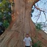 mario arrue aparicio's profile picture