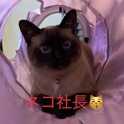 🍜東京とんこつ。本店's profile picture