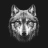 JakeWolfe profil fotoğrafı