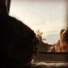 tmwwt profil fotoğrafı