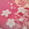 🌸はるかぜ🌸 的头像
