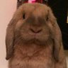 Profilbild von Stefan.