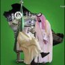 إبن الصحراء's profile picture